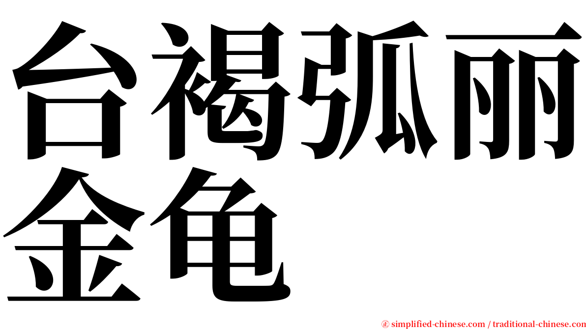 台褐弧丽金龟 serif font