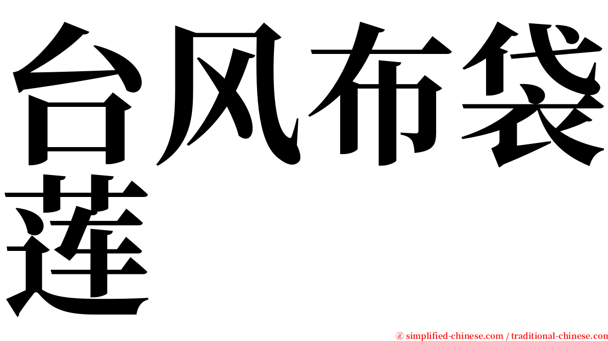 台风布袋莲 serif font