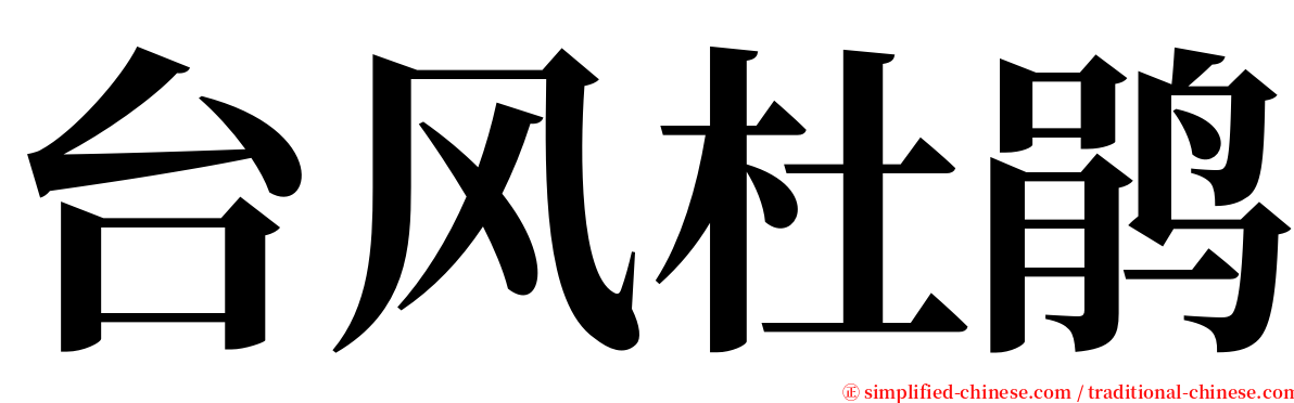 台风杜鹃 serif font