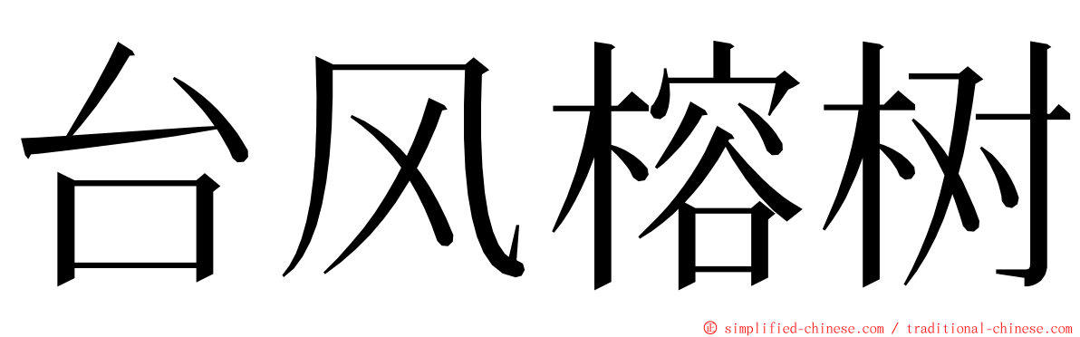 台风榕树 ming font