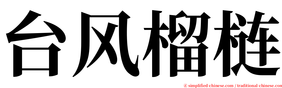 台风榴梿 serif font