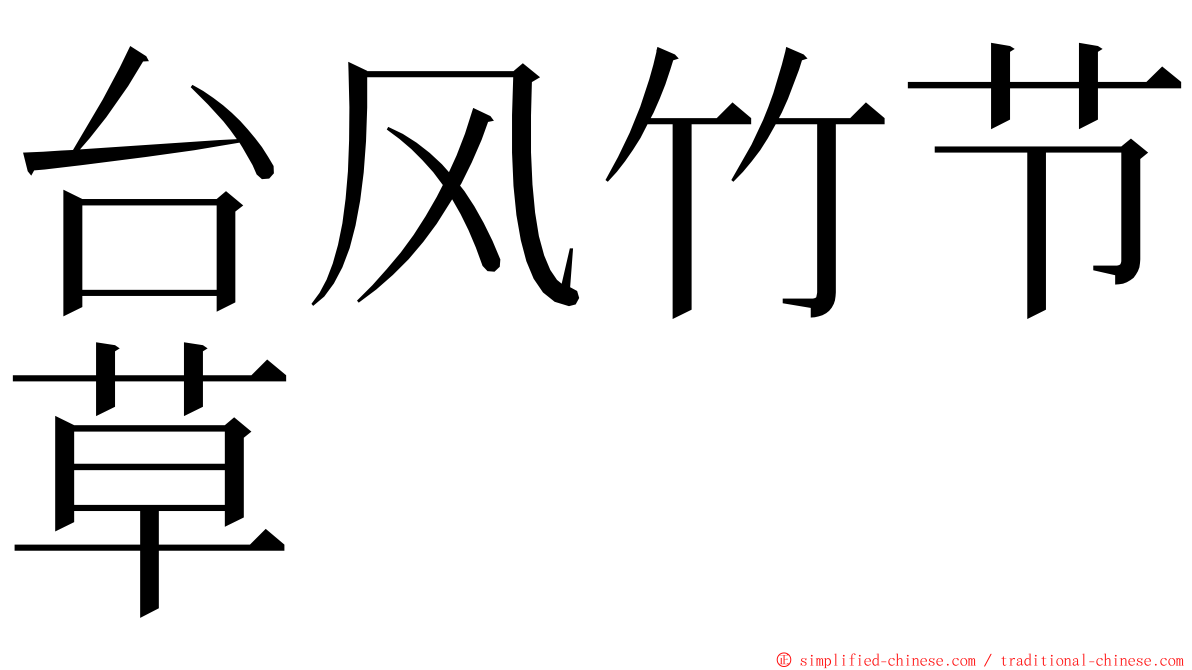 台风竹节草 ming font