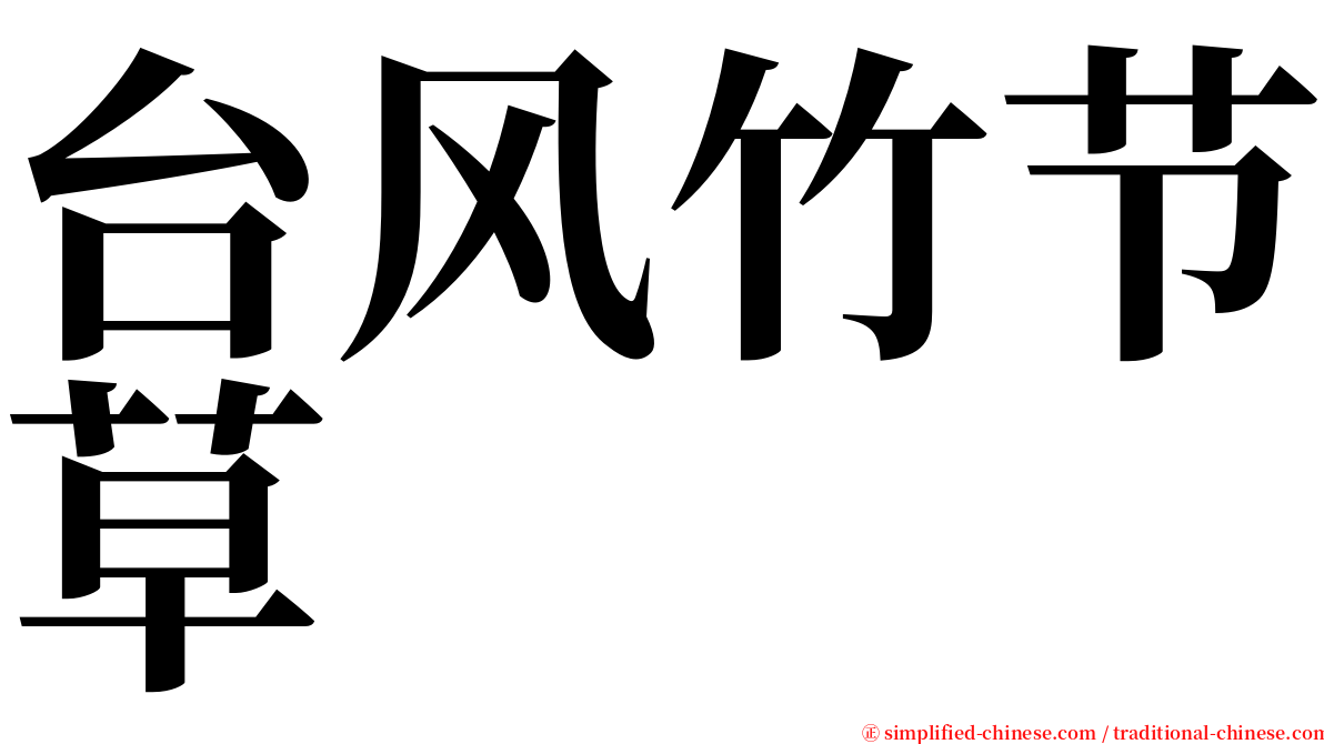 台风竹节草 serif font