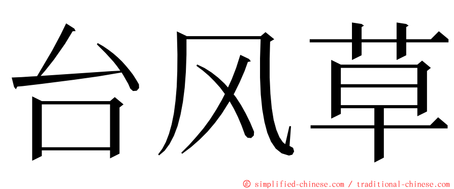 台风草 ming font