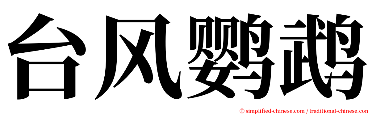 台风鹦鹉 serif font