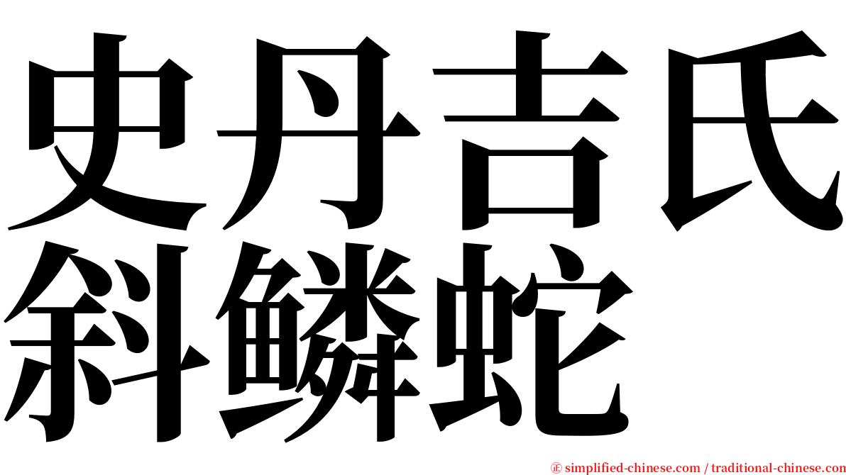 史丹吉氏斜鳞蛇 serif font