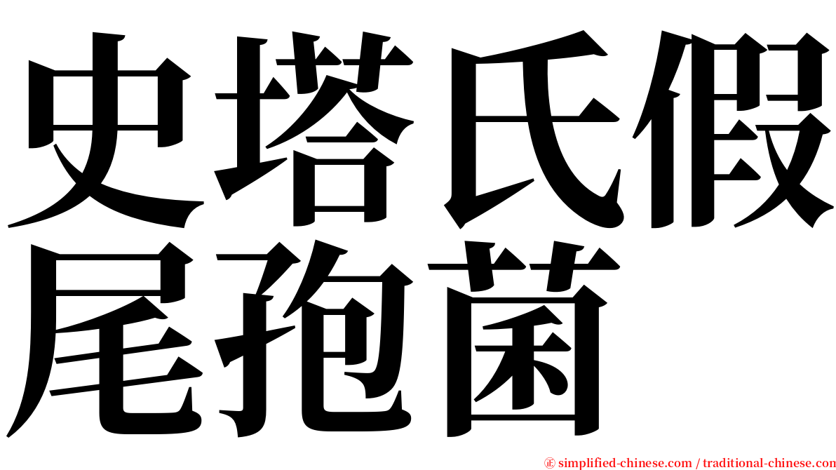 史塔氏假尾孢菌 serif font