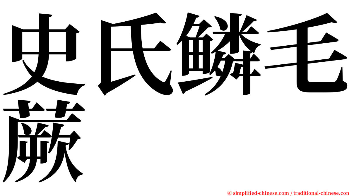 史氏鳞毛蕨 serif font