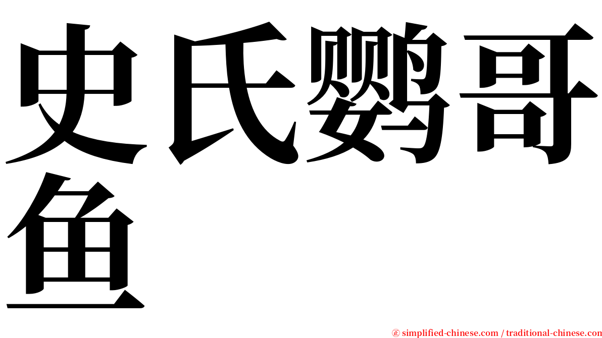 史氏鹦哥鱼 serif font