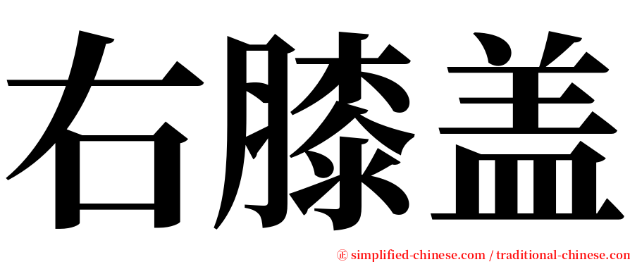 右膝盖 serif font