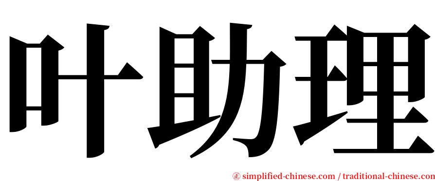 叶助理 serif font