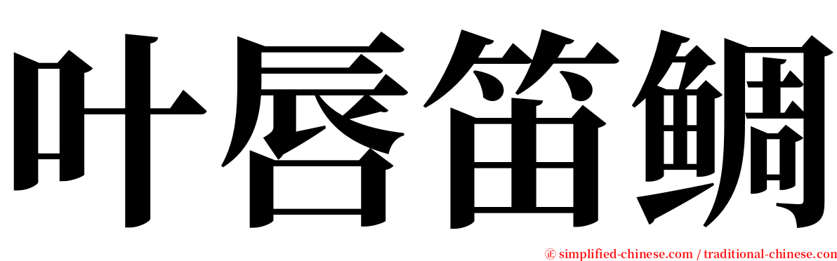 叶唇笛鲷 serif font