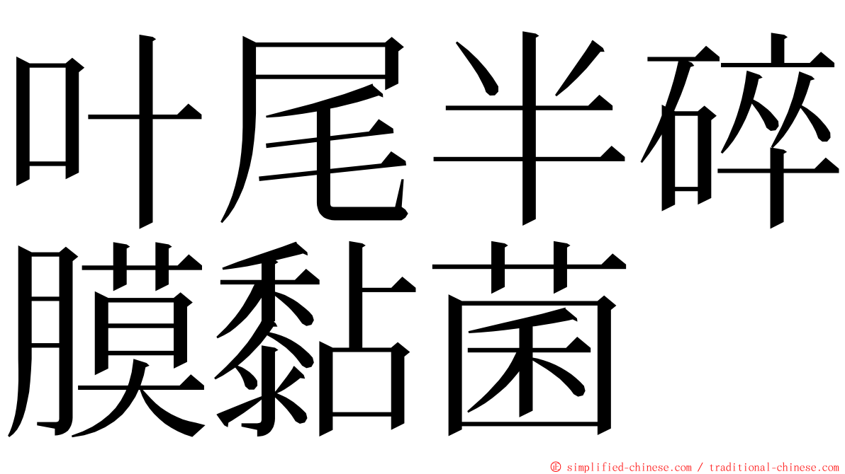 叶尾半碎膜黏菌 ming font