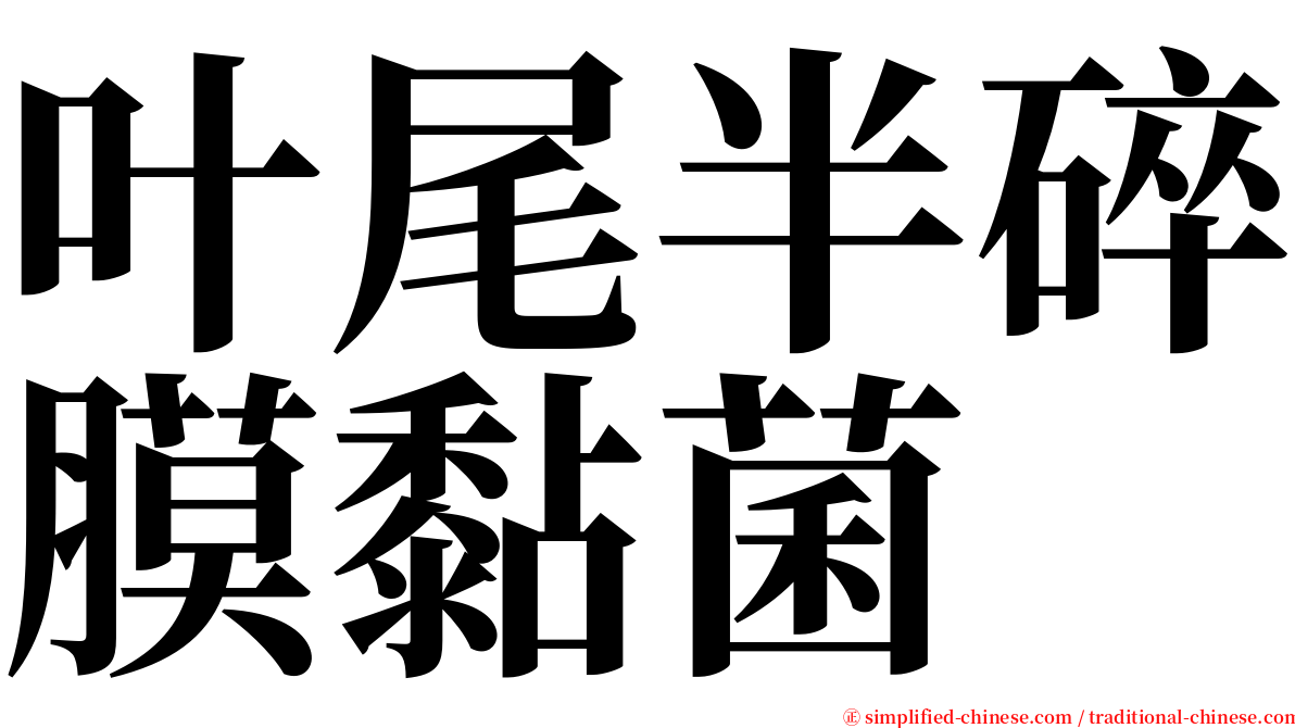 叶尾半碎膜黏菌 serif font