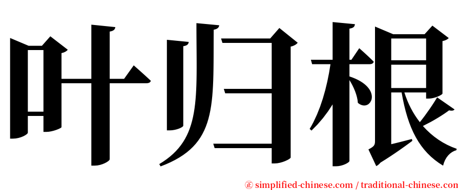 叶归根 serif font