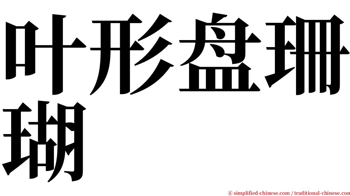 叶形盘珊瑚 serif font