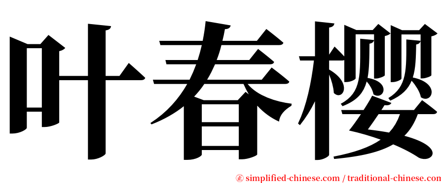 叶春樱 serif font