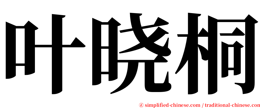 叶晓桐 serif font