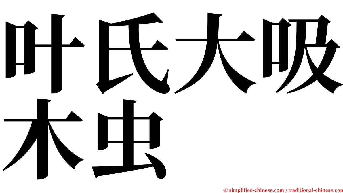 叶氏大吸木虫 serif font