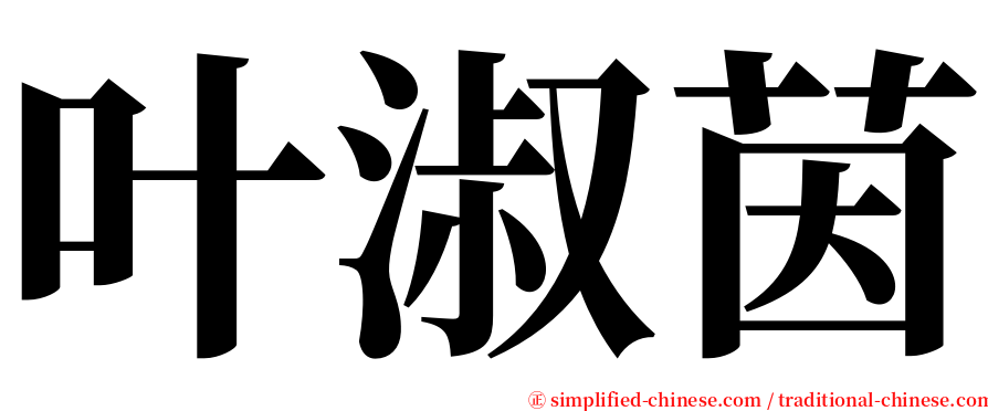 叶淑茵 serif font