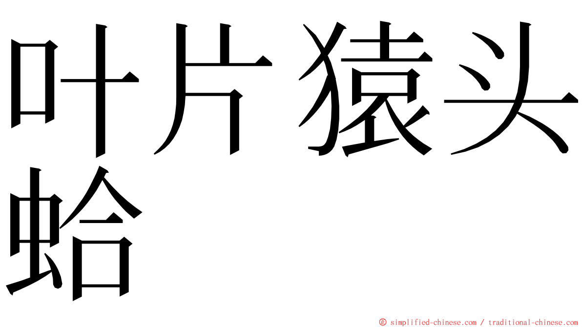 叶片猿头蛤 ming font