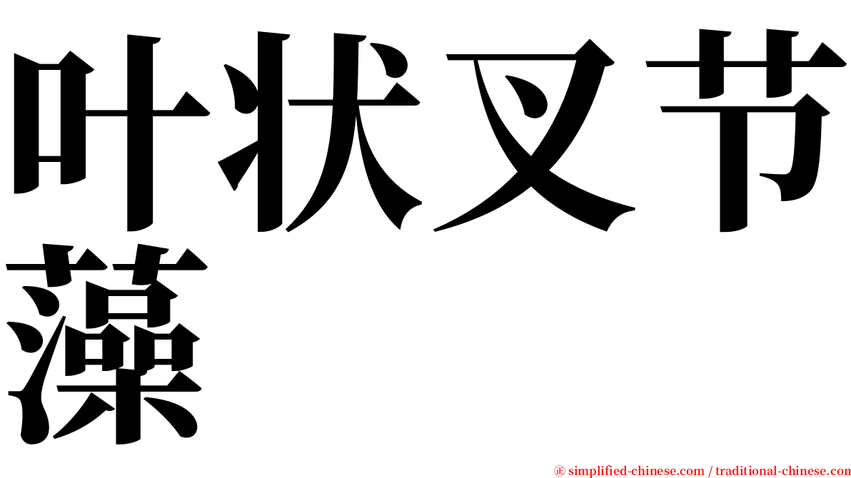 叶状叉节藻 serif font