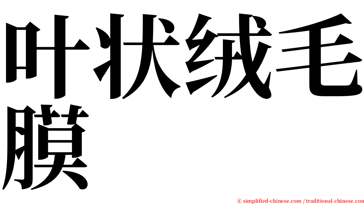 叶状绒毛膜 serif font