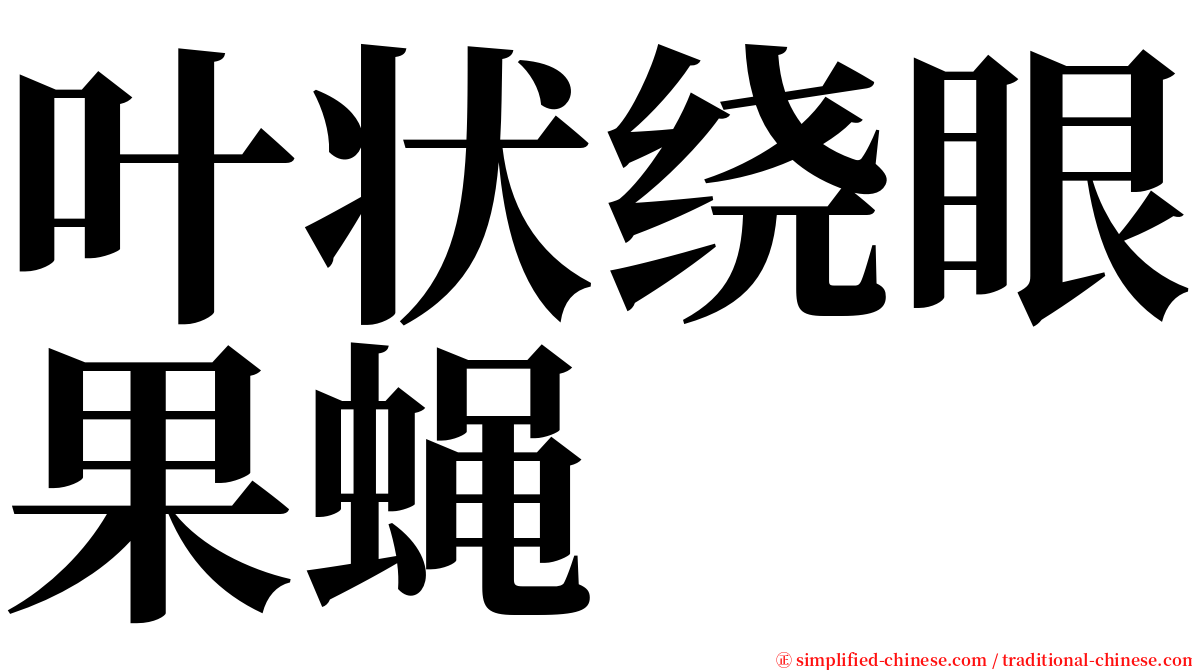 叶状绕眼果蝇 serif font