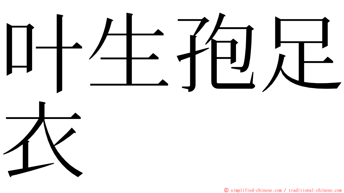 叶生孢足衣 ming font