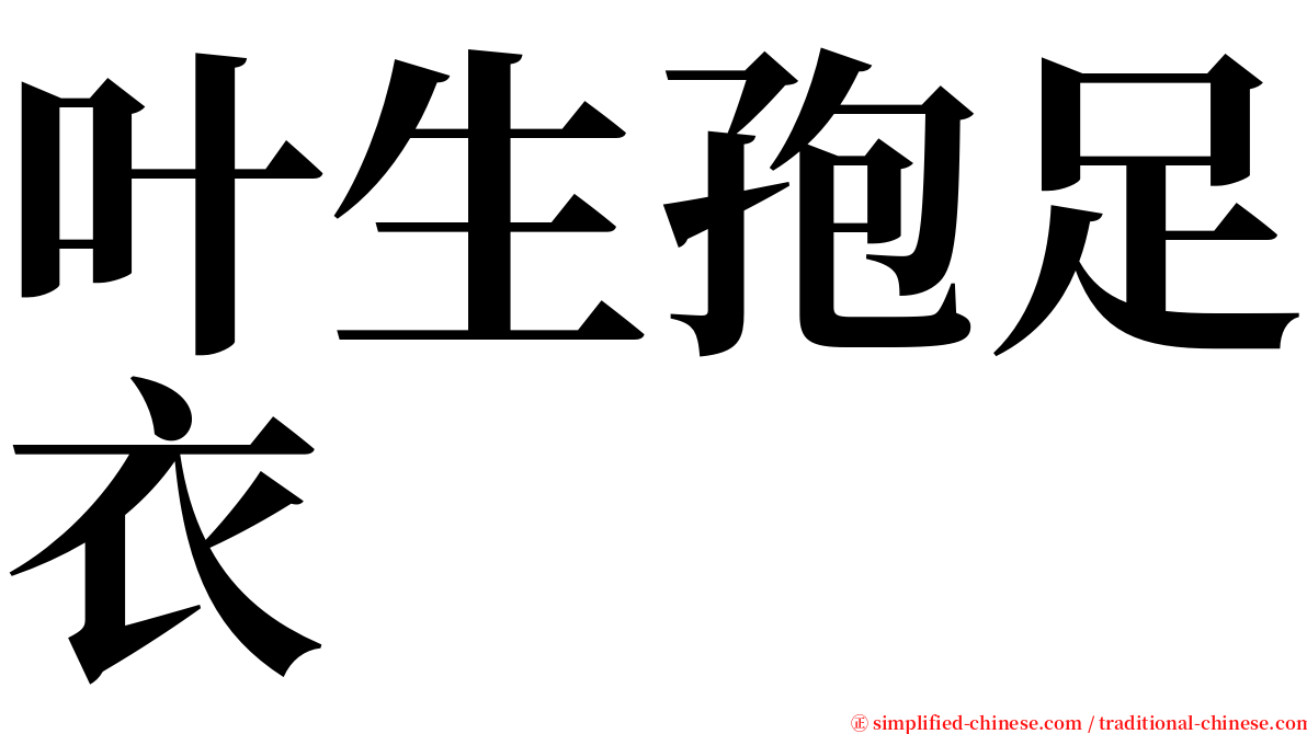 叶生孢足衣 serif font