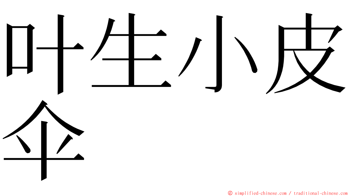 叶生小皮伞 ming font