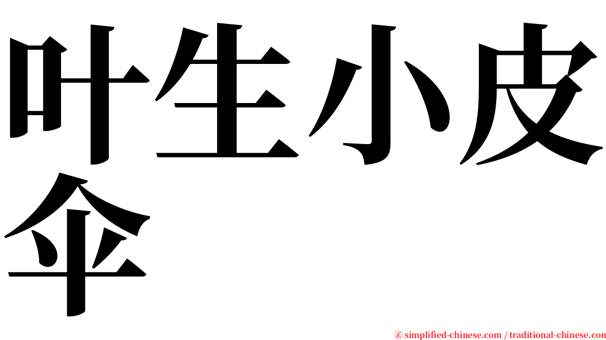 叶生小皮伞 serif font