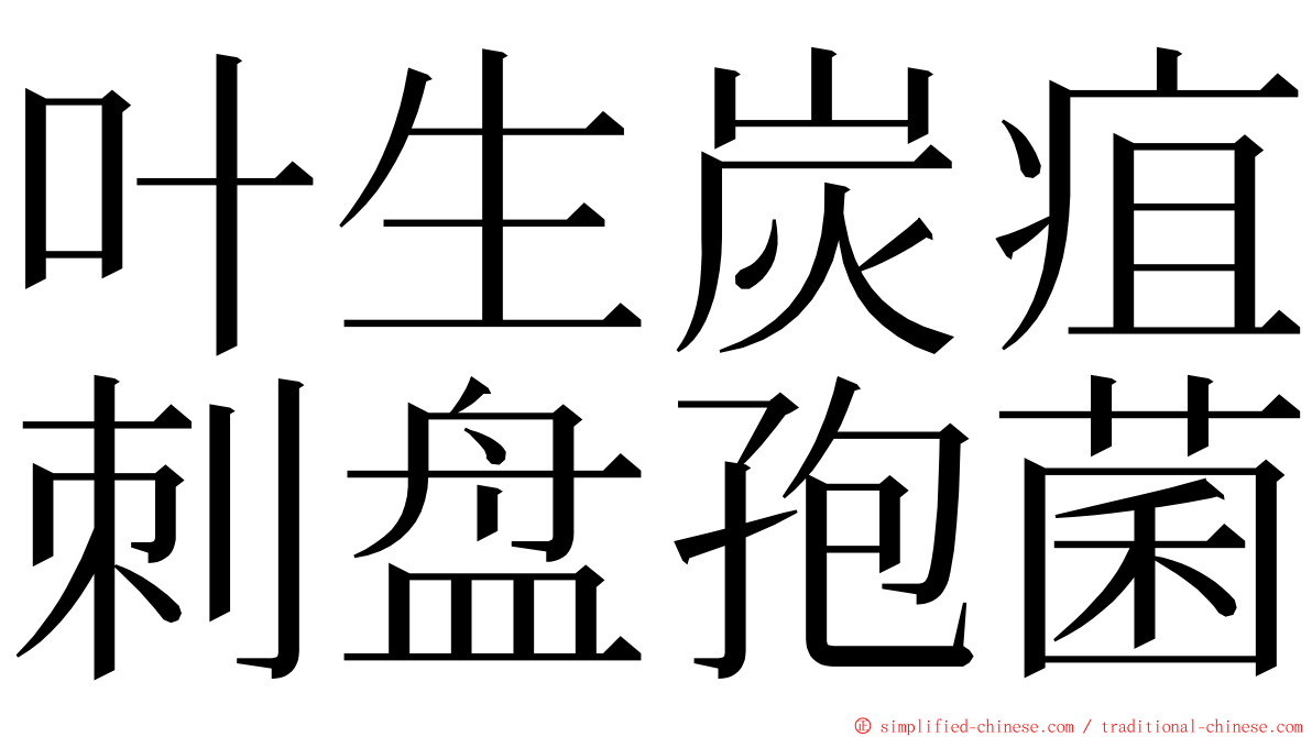 叶生炭疽刺盘孢菌 ming font