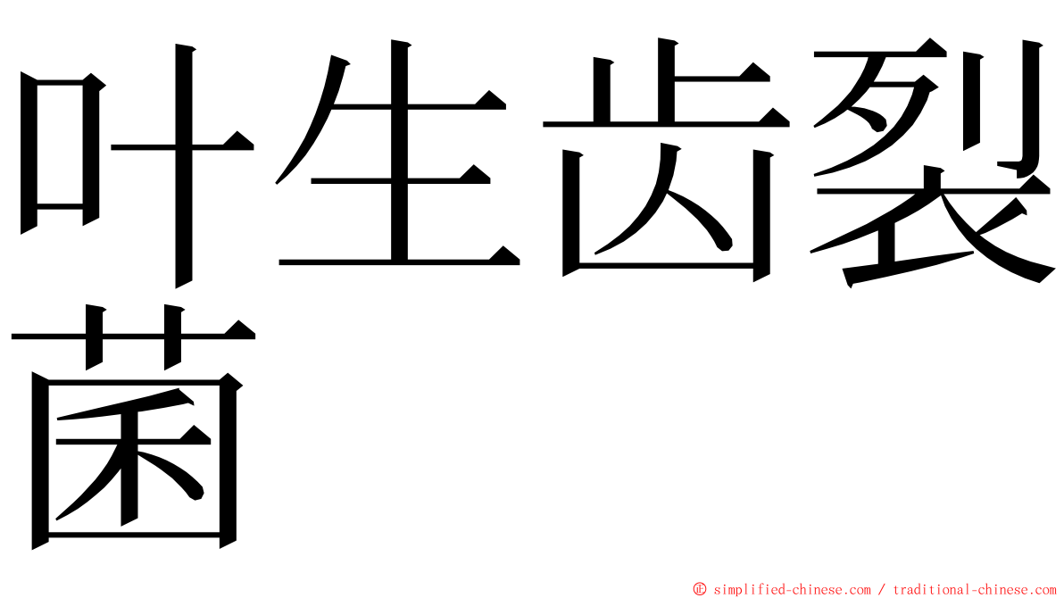 叶生齿裂菌 ming font