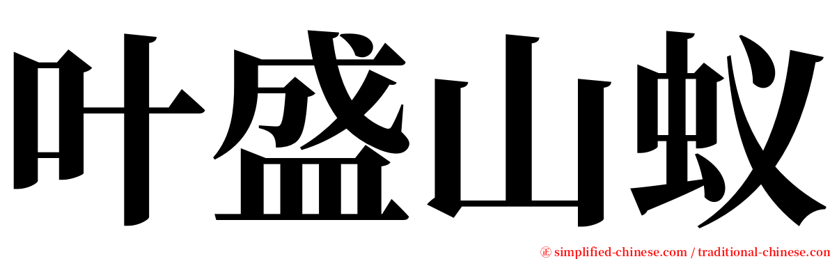 叶盛山蚁 serif font