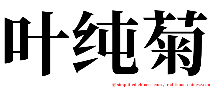 叶纯菊 serif font