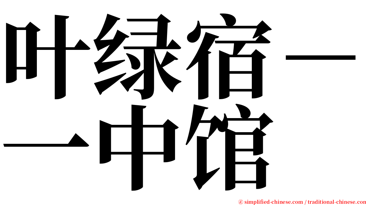 叶绿宿－一中馆 serif font