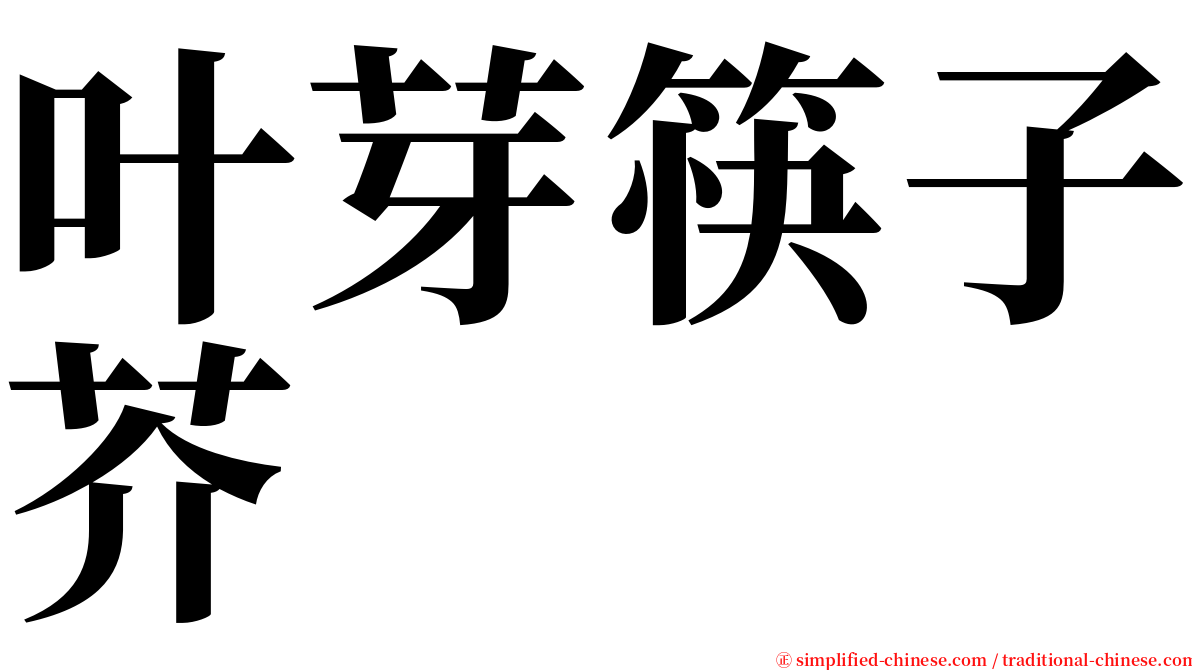 叶芽筷子芥 serif font