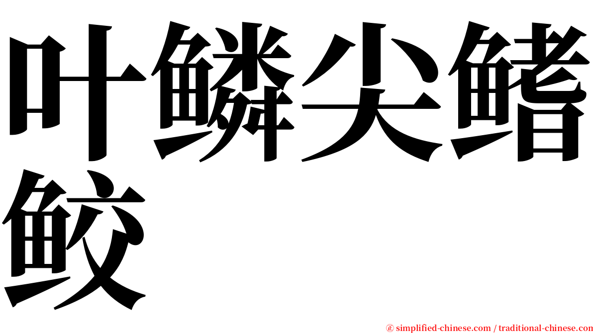 叶鳞尖鳍鲛 serif font