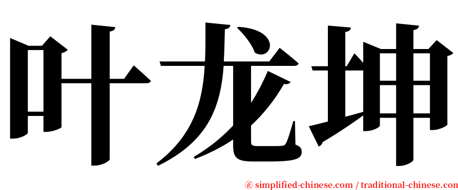 叶龙坤 serif font