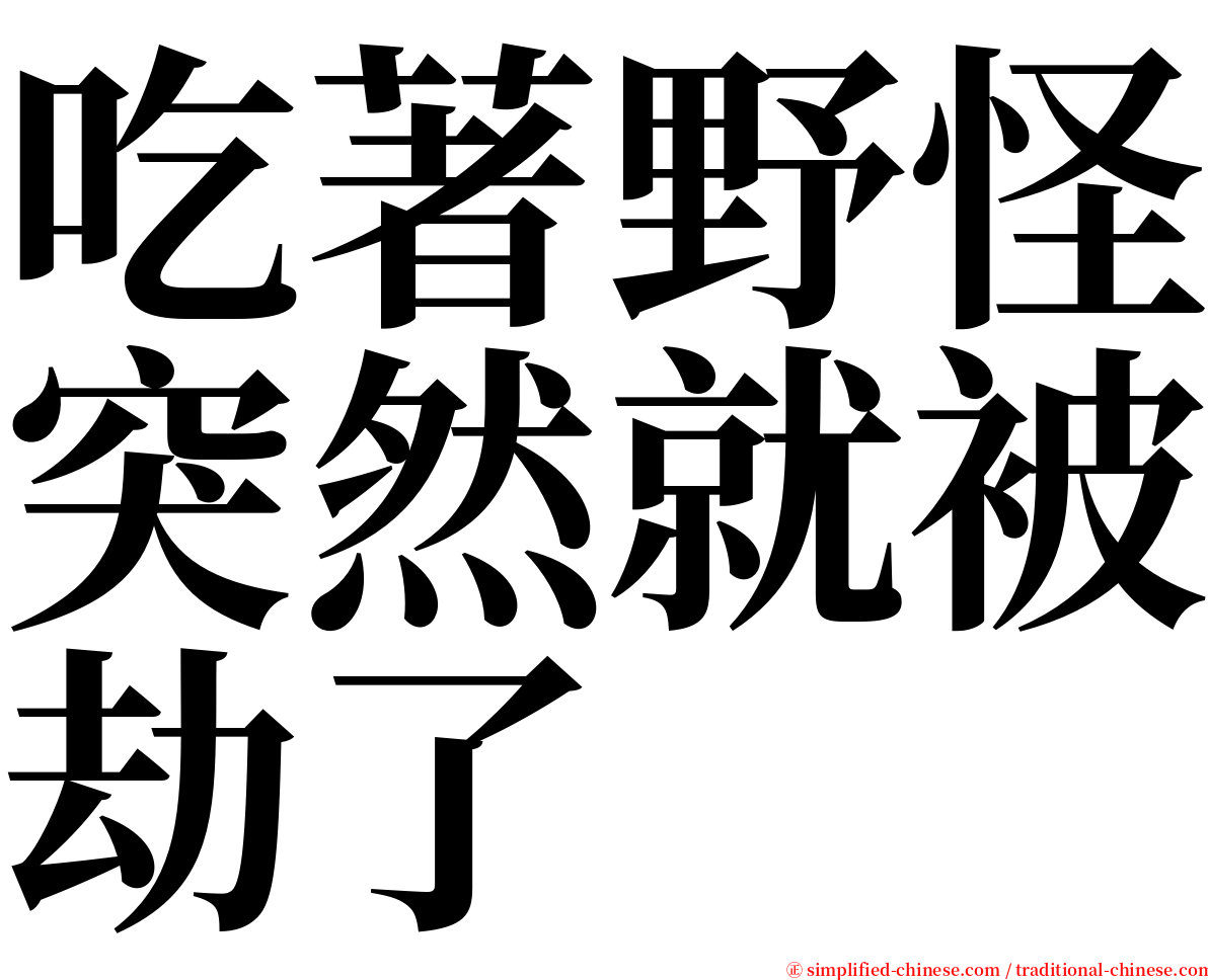 吃著野怪突然就被劫了 serif font