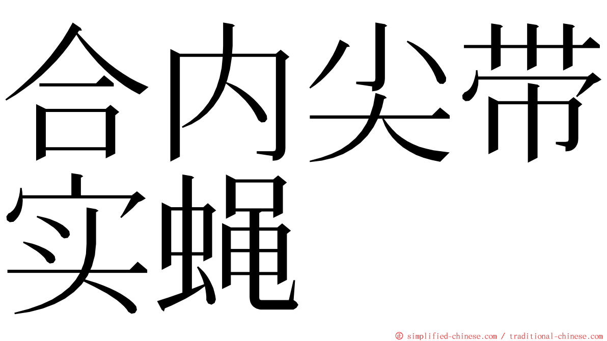 合内尖带实蝇 ming font