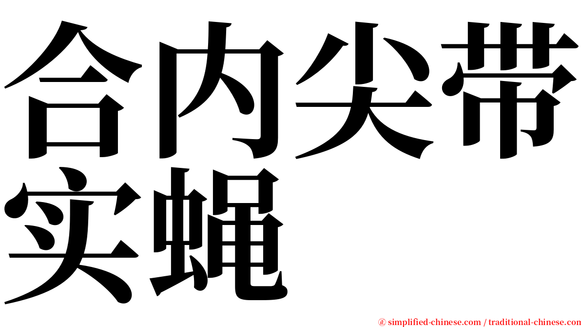 合内尖带实蝇 serif font