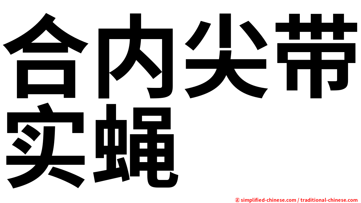 合内尖带实蝇