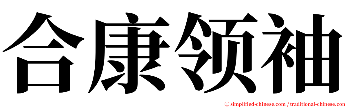 合康领袖 serif font