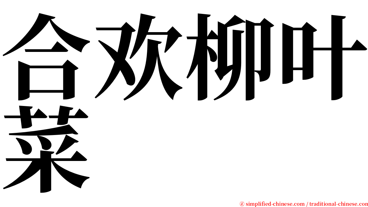 合欢柳叶菜 serif font