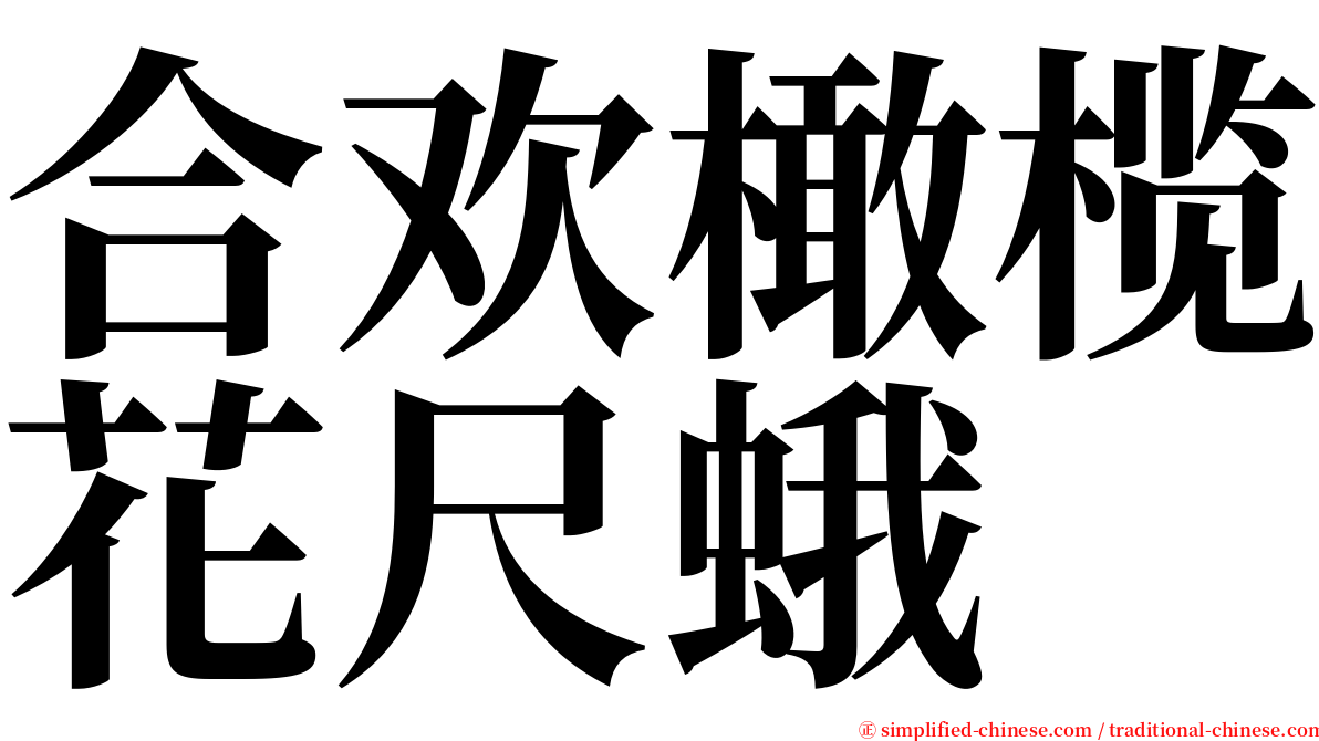 合欢橄榄花尺蛾 serif font