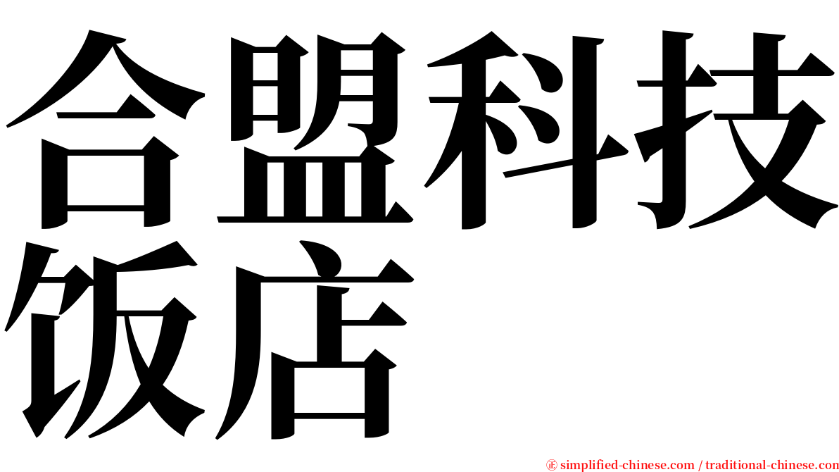 合盟科技饭店 serif font