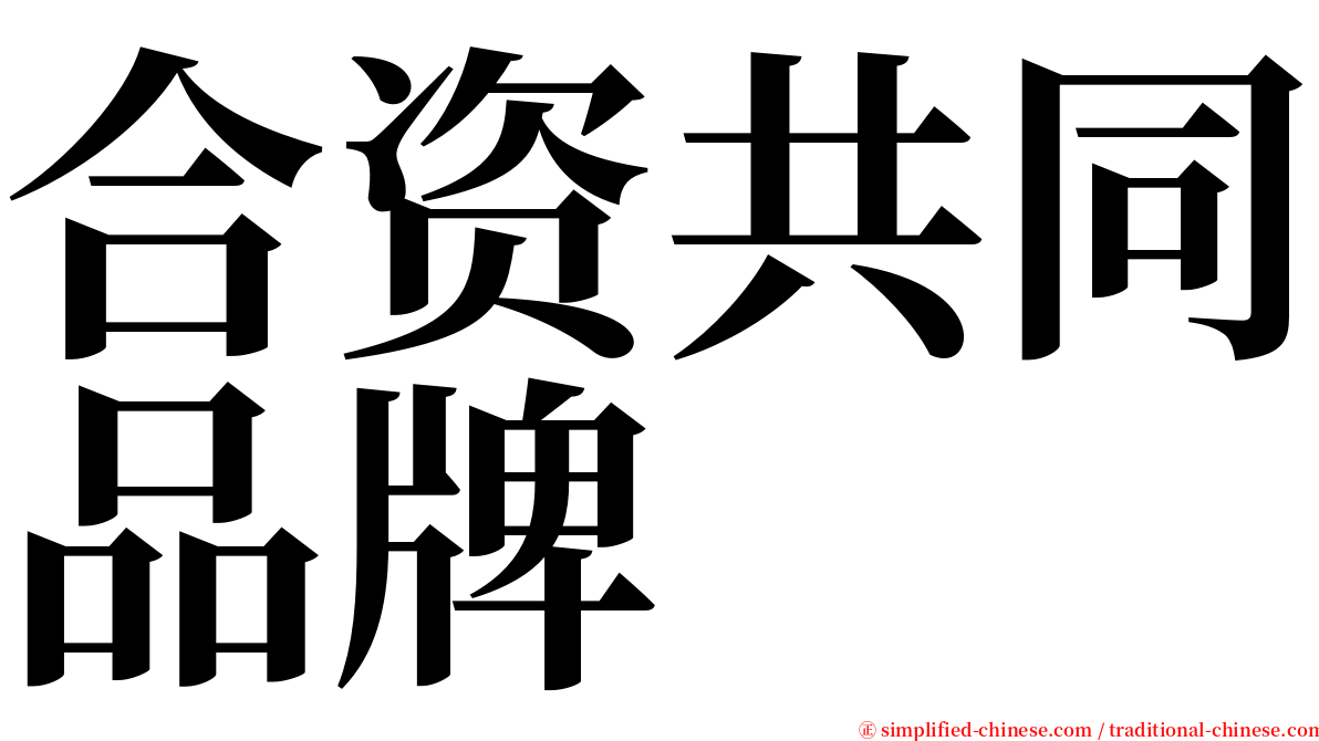 合资共同品牌 serif font