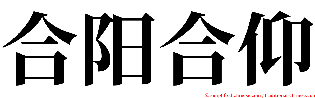 合阳合仰 serif font